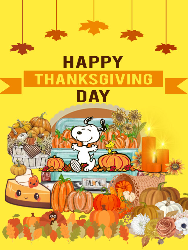 happy thanksgiving day